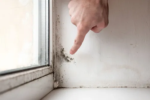 Im Innenraum von Schimmelpilz befallene Wand